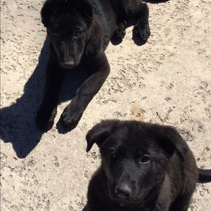 Meet your Posher, Tonya