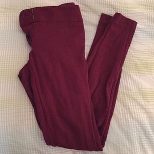 LOFT Riding Leggings in Burgundy