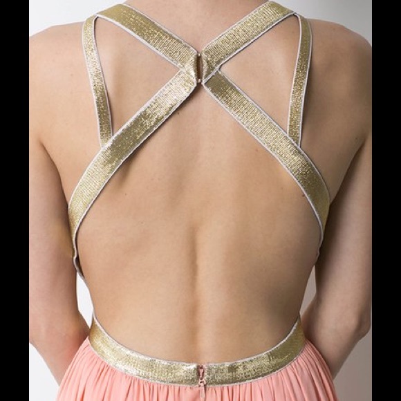 FLASH SALE! ✨NWTR- Formal Dress - Picture 2 of 2
