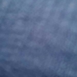 Meet your Posher, Opal