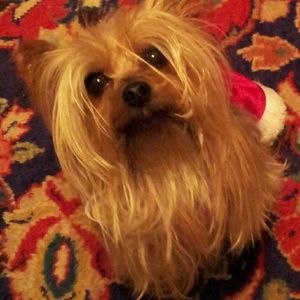 Meet your Posher, Jane