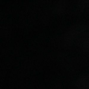 Meet your Posher, Lizzy