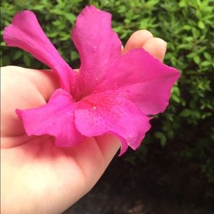 Meet your Posher, Madison