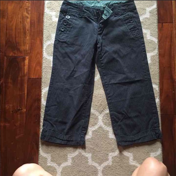 Dressy capris