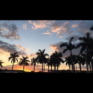 Meet your Posher, Juli