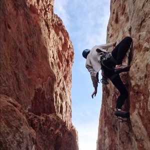 Meet your Posher, Morgan