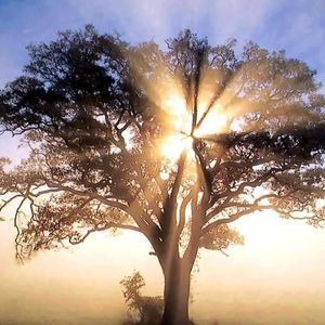 Meet your Posher, Lynnette