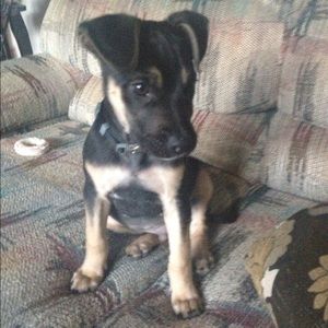 Meet your Posher, Pamela