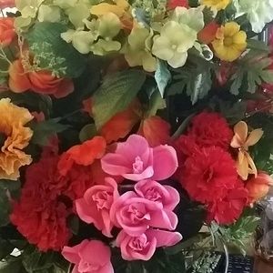 Meet your Posher, Yvette