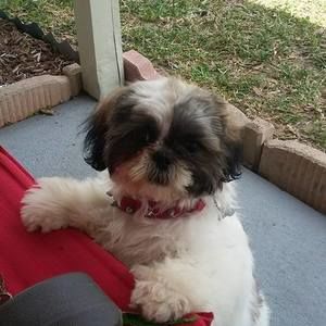 Meet your Posher, Jocklyn