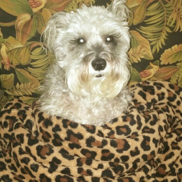 Meet your Posher, Allison - Picture 3 of 3