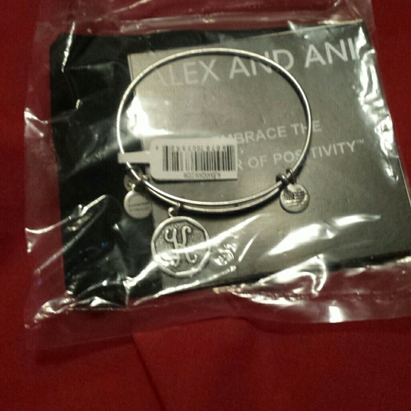 Alex and ani bracelet