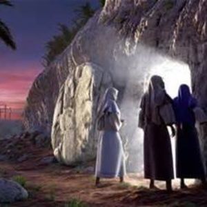 Meet your Posher, Mabel