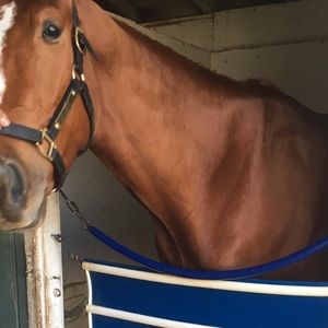 Meet your Posher, Brenda