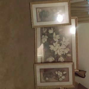 Home interVintage framed Victoria flower pictures