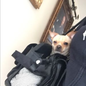 Meet your Posher, Sabrina