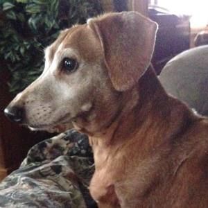 Meet your Posher, Connie