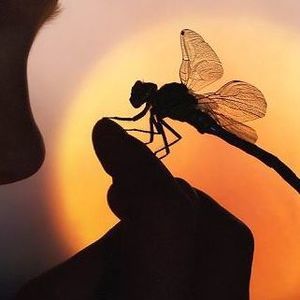 Meet your Posher, Cherie