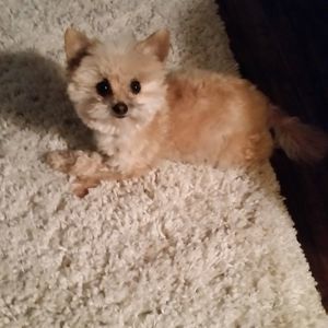 Meet your Posher, Cathy