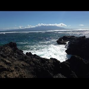 Meet your Posher, Morgan