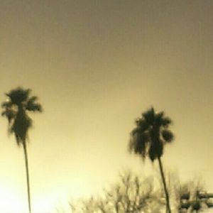 Meet your Posher, Yaqi