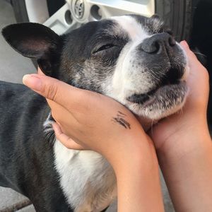 Meet your Posher, Diana