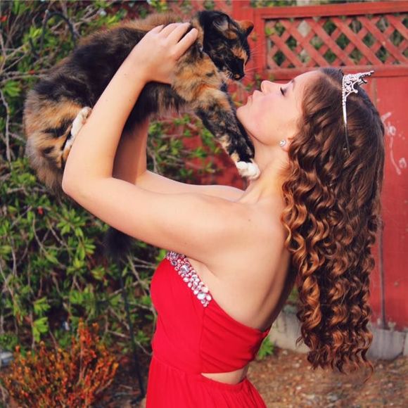 Meet your Posher, Kylea - Picture 1 of 1