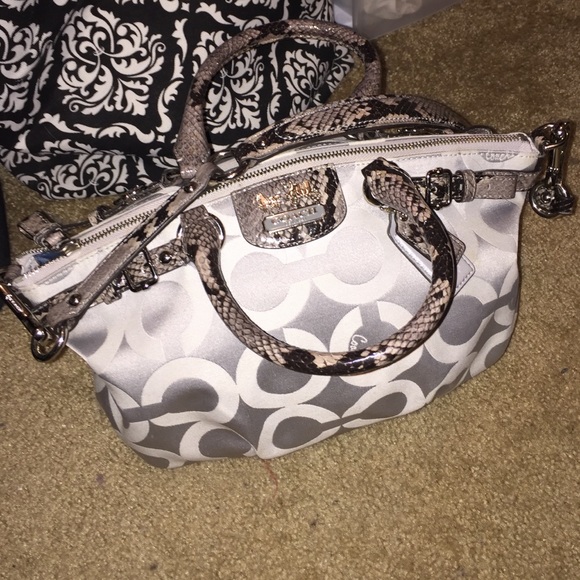 COACH Parker Optical w/ Snake Trim Satchel