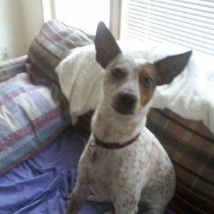 Meet your Posher, Sheryl