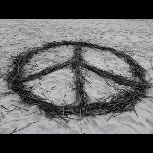 Meet your Posher, Trinity