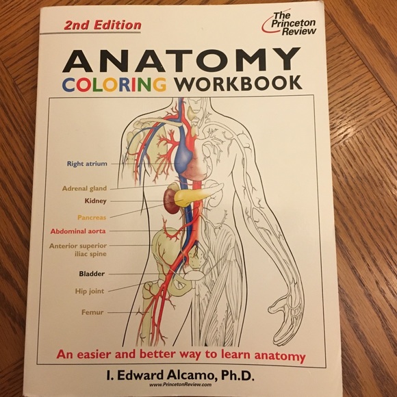 Anatomy Coloring Workbook