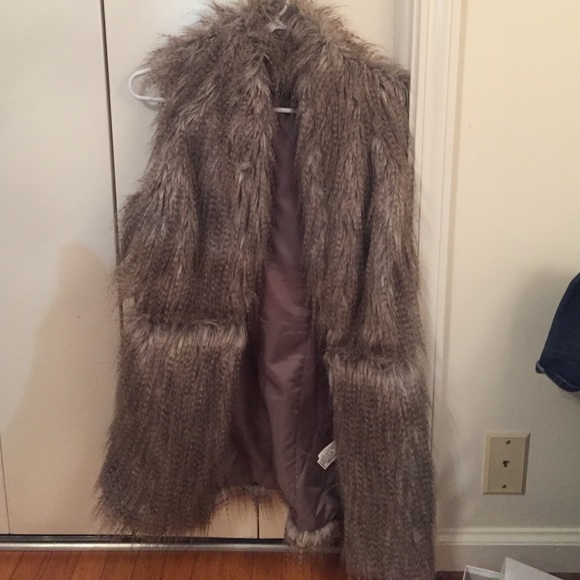 Grey Never worn Zara fur vest!