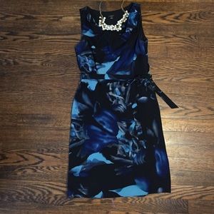 Ann Taylor Silk dress