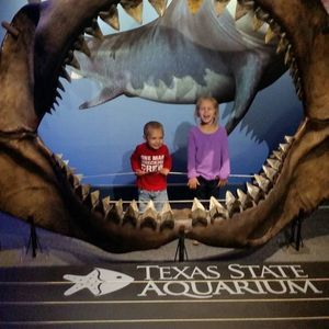 Meet your Posher, Mitchell