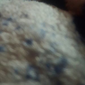 Meet your Posher, Giuliano