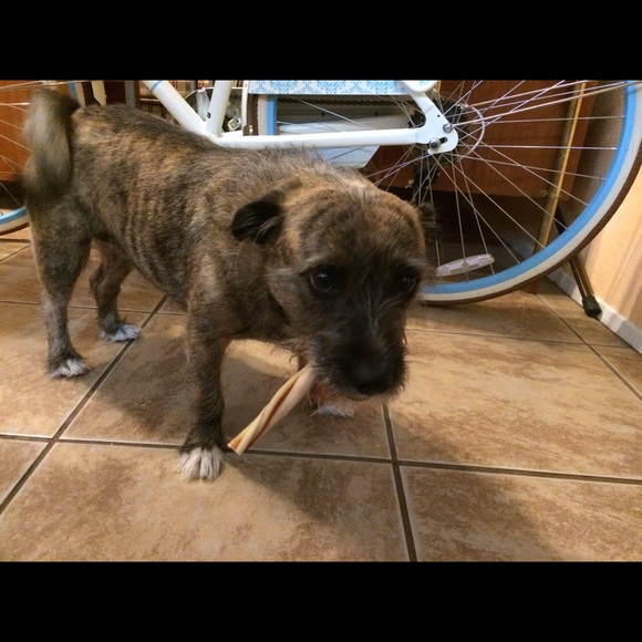 Meet your Posher, Sue - Picture 1 of 1