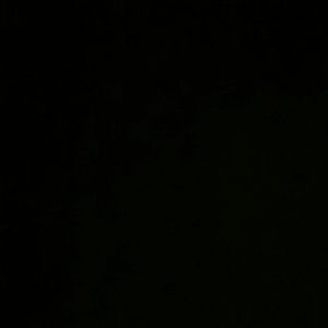 Meet your Posher, Doris