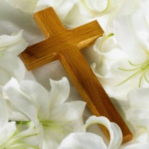 Meet your Posher, Amber k.