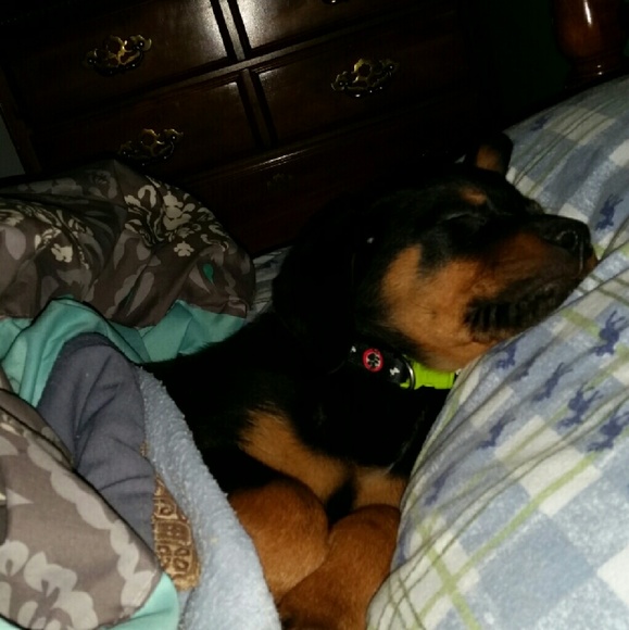 Meet your Posher, Kala