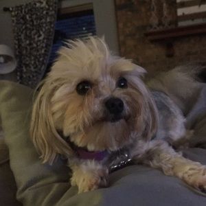 Meet your Posher, Kelly