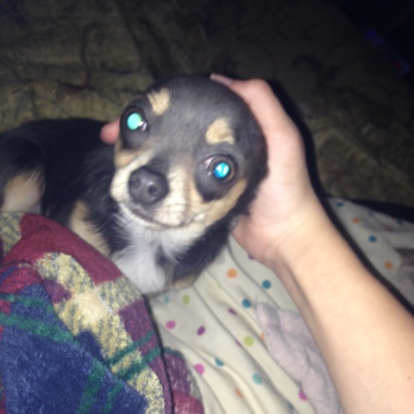 Meet your Posher, Sophia