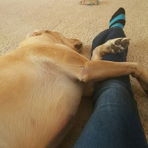 Meet your Posher, Lydia