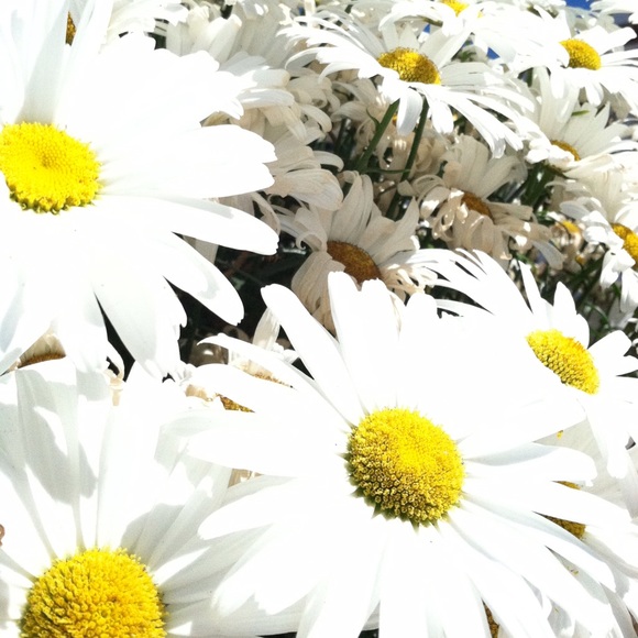 Meet your Posher, Michele