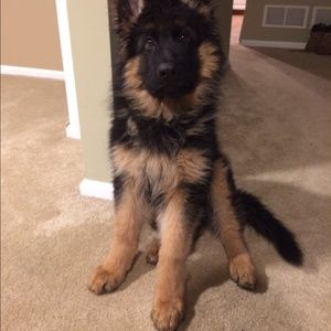 Meet your Posher, Jen