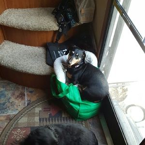 Meet your Posher, Jenna