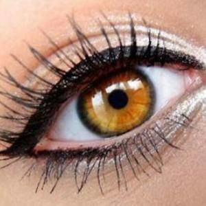 Meet your Posher, Delineados