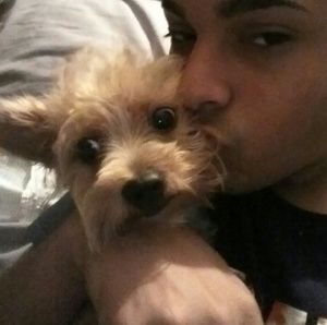 Meet your Posher, Hiba