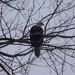 Meet your Posher, Rachel-tim