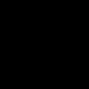 Meet your Posher, Logan