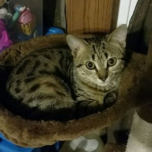 Meet your Posher, Debbie